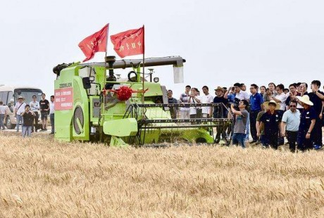 無(wú)人駕駛收割機(jī)助力今年麥?zhǔn)眨? width=