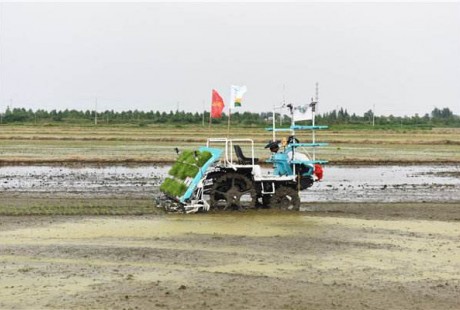 相城一名新型職業農民用上智能無人駕駛插秧機