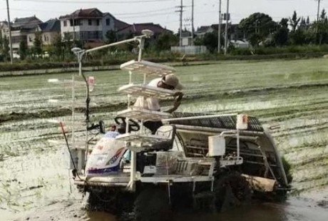 寧波慈溪引進(jìn)首臺無人駕駛插秧機(jī)，搭載北斗導(dǎo)航駕駛系統(tǒng)