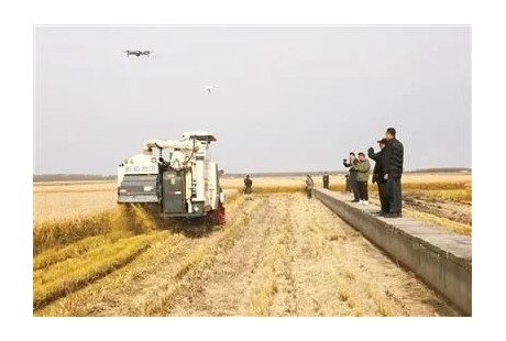 無(wú)人駕駛收割機(jī)顆粒歸倉(cāng)